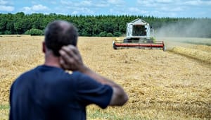 Det Økologiske Råd: Flyt midler fra EU's landbrugsstøtte til jordreformen