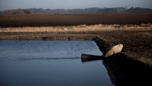 Collective Impact: Kommuner og lods&shy;ejere har bøvl med at nå vandmiljømål