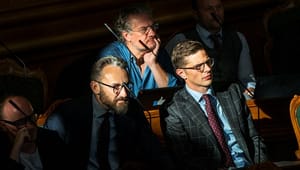 Signe Bøgevald: Liberales lyst til at fratage statsborgerskab bryder med egne principper