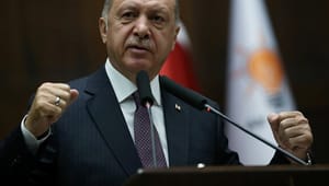 Mellemøstekspert: EU har brug for Putin mod Tyrkiets invasioner