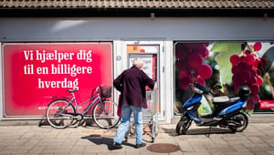 Det danske paradoks: Vi glemte demokratiet i socialøkonomien
