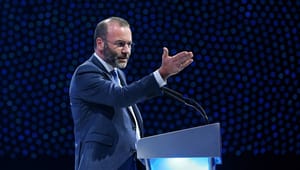 Konservativ formand kritiserer EU’s socialdemokrater for ikke at træde i karakter over for Malta