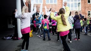 Støtten til Danske Skoleelever daler fortsat