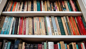 Bibliotekschef: Læsning er for vigtigt til svinkeærinder for bibliotekarerne