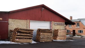 Træindustrien advarer mod hurtig skovindsats: ”Vi er hamrende bekymrede”