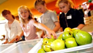 Brexit kan gøre dansk skolemælk og skolefrugt dyrere