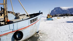 Fiskerikollaps i gang i Grønland