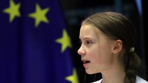 Danske EU-politikere raser over Thunberg-besøg