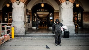 Alliance: Derfor skal vi lytte til Finland i kampen mod hjemløshed