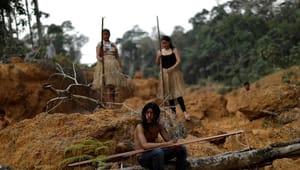  Ngo: Klimatiltag må aldrig tromle oprindelige folks rettigheder