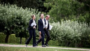 Peter Loft og Jørgen Rosted: Topchefer skal aflastes i deres rolle som politiske rådgivere