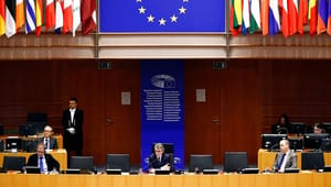 Stine Bosse: Soloræs blandt EU-lande vil føre os mod bunden