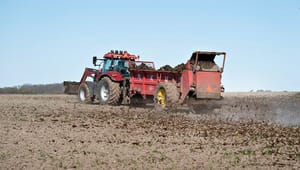 Organisationer kritiserer landbrugets anbefalinger: For meget 'business as usual'