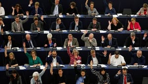 Mattias Söderberg: EU må tage klima-lederskabet, når andre lande svigter
