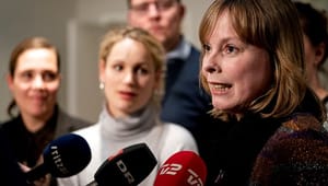 Johanne Dalgaard: Hellere en poptøs end en minister med kuratornykker