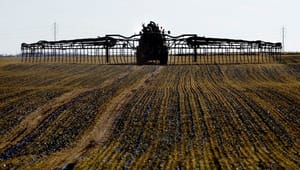 Efter nye fejl i beregninger: Landbrugets klimabelastning stiger 2,7 procent