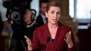 Tyskland er klar til at åbne grænsen: Afventer svar fra den danske regering