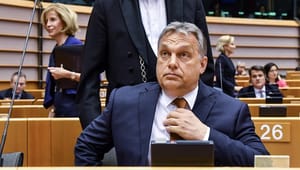 Debat: Europas bedst bevarede hemmelighed lægger pres på Ungarn