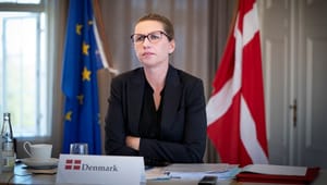 Professor: Danmark har ingen adgang eller indflydelse i EU - og vi er selv ude om det