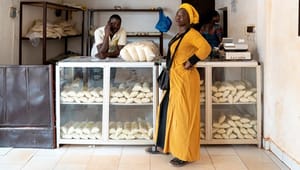 Dansk Industri: Ny strategi skal skabe ordentlige jobs til unge i Afrika 