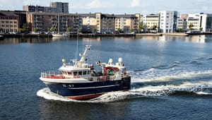 Replik til Danmarks Fiskeriforening: Fiskeripolitik og naturbeskyttelse hænger sammen