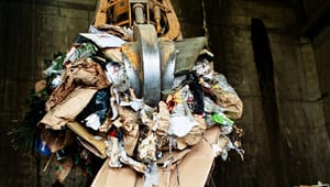 DI og Carlsberg: Det kan ikke være en kommunal opgave at sortere affald 