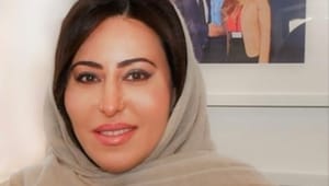 Emiraternes ambassadør: Danske medier viser upræcist billede af mit land