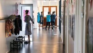 Selveje Danmark: Bevar det brede udvalg af skoletilbud til børn og unge 