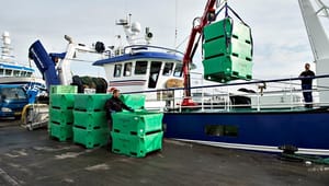 Fiskere: Lad ikke Brexit efterlade vores fiskerihavne som livløse spøgelsesbyer