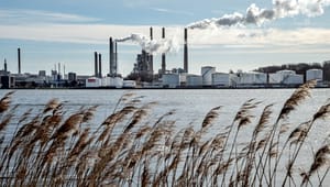 Dansk Energi: Klimaheksejagten ødelægger den offentlige samtale