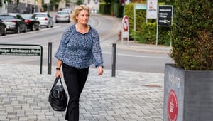 Vidne i Støjberg-sag: Jeg blev bedt om at adskille asylpar uden undtagelse