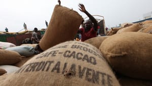 Fairtrade: Jagten på perfekte vilkår er ikke vejen frem