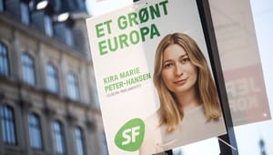 SF-profil bliver næstformand i EUs nye skattesnydsudvalg