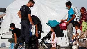 Ny a la carte-model for europæisk asylpolitik får hug fra flere sider