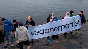 Se pressemødet: Veganerpartiet præsenterer sit projekt i Kødbyen