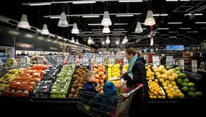 Forbrugerrådet Tænk: Danskerne skal ændre forbrugsvaner, hvis vi vil leve op til verdensmålene