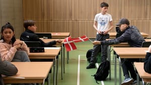 OECD fremhæver danske udfordringer med indvandrerelever