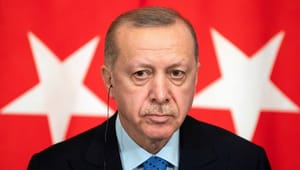 Kommentator: Præsidentpaladset i Ankara undgår Kofods opmærksomhed