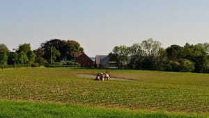 Aarhus Universitet: Massiv udtagning af landbrugsjord skal ikke koste landbruget