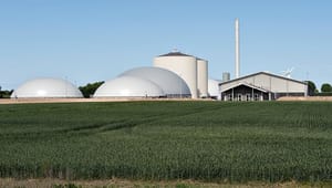 Forskere: Biomasse kan bidrage til markant klimareduktion i landbruget