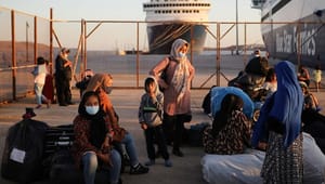 Institut mod tortur: Det skal være slut med at spille "græsk vandpolo" med asylansøgere
