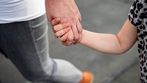 Mødrehjælpen: Familieretten hverken kan eller skal passe på børn i skilsmisser