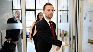 Kønsforsker har store forventninger til Hummelgaard som ligestillingsminister