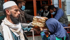 Ngo'er: Regeringen må gå i front for at redde bistanden til Afghanistan
