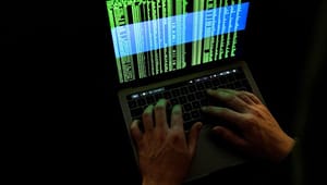 Debat: Vi har skabt et slaraffenland for cyberkriminelle