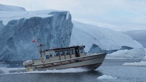 Forsker: Vi skal passe på Arktis' sårbare økosystemer