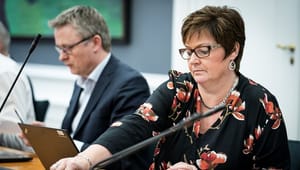 Venstre: Statsministerens vilde idé er slet ikke så vild igen