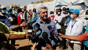 FN's flygtninge&shy;højkommissær: Gør mig arbejdsløs