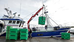 Fiskerne frygter at blive kastet for hajerne i sidste udkald for Brexit