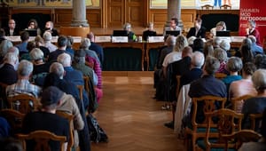 "Uenige" EU-organisationer: Danskerne skal høres mere i EU-spørgsmål